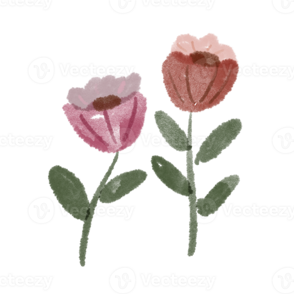 Tulip Flower Doodle Art png