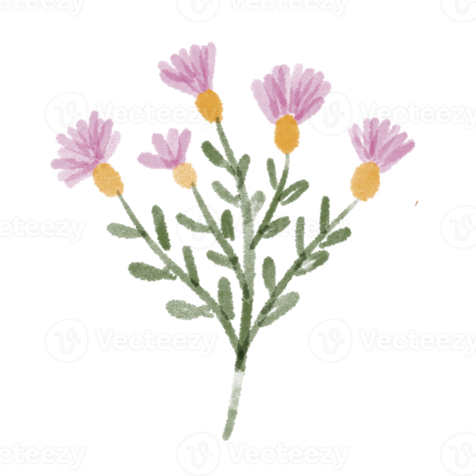 Pink Wildflower Doodle Art png