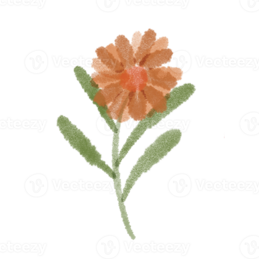 Orange Flower Doodle Art png