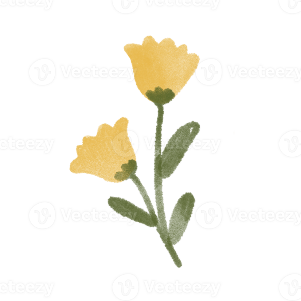 Yellow Tulip Doodle Art png