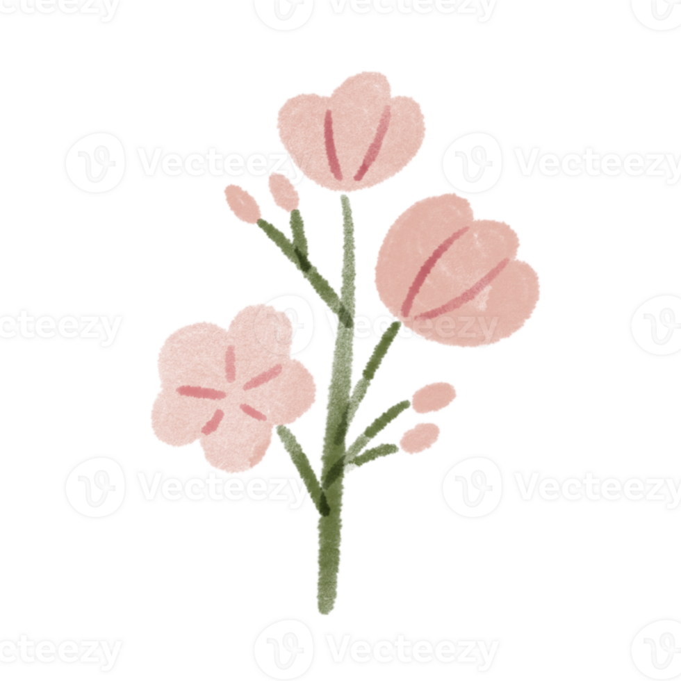 Sakura Flower Doodle Art png