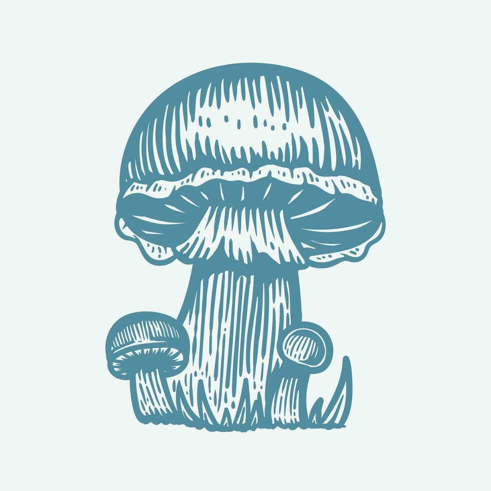 hand drawn mushroom illustration in vintage style vector