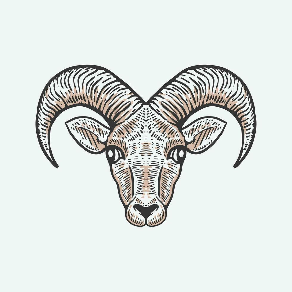 goat head hand drawn illustration in vintage style vector