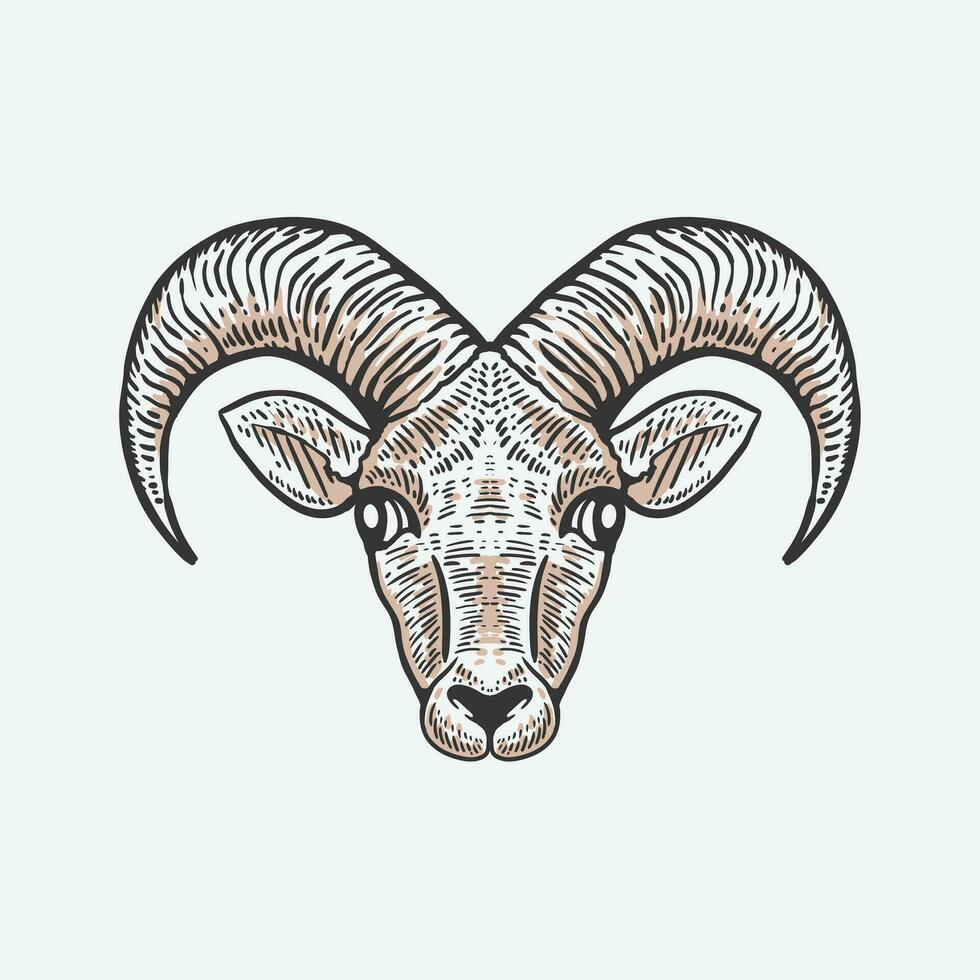 goat head hand drawn illustration in vintage style vector