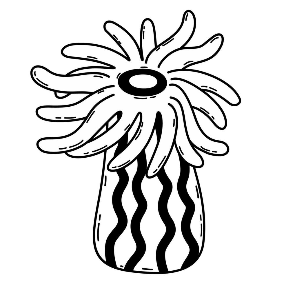 Sea anemone underwater in sea. Hand drawn sketch of actinia. Vector black and white illustration of marine creature. Isolated clipart of ocean animal on white background.