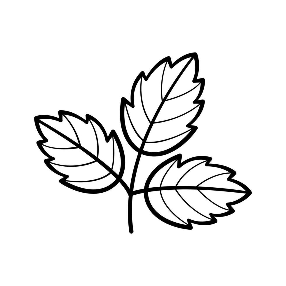 Leaf. Hand drawn sketch icon of botany element. Isolated vector illustration in doodle line style.