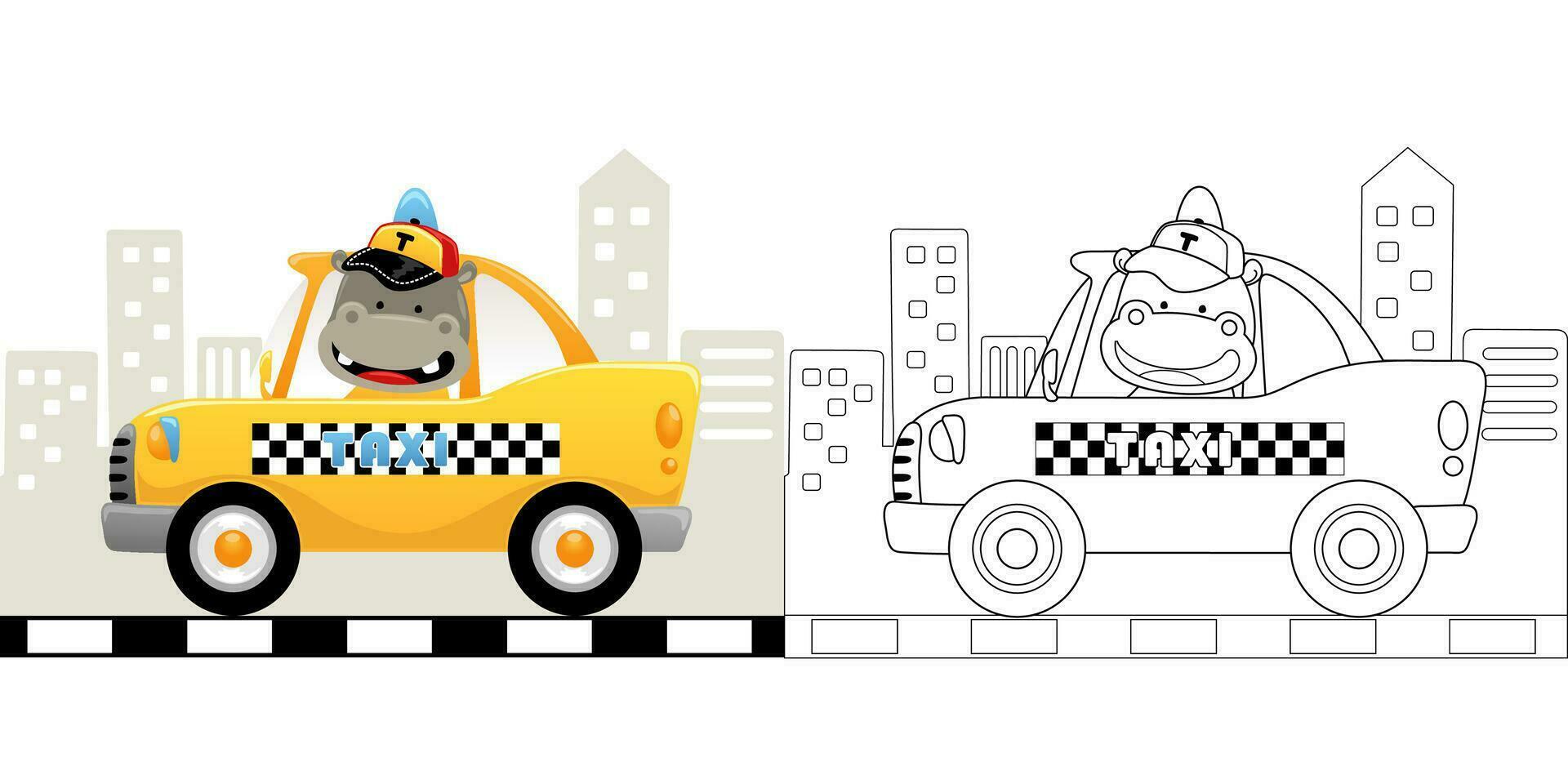Vector illustration of cartoon cute hippo driving taxi on building background. Coloring book or page