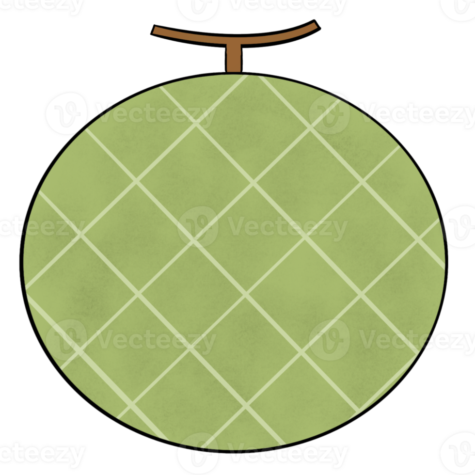 Cute Melon isolated png