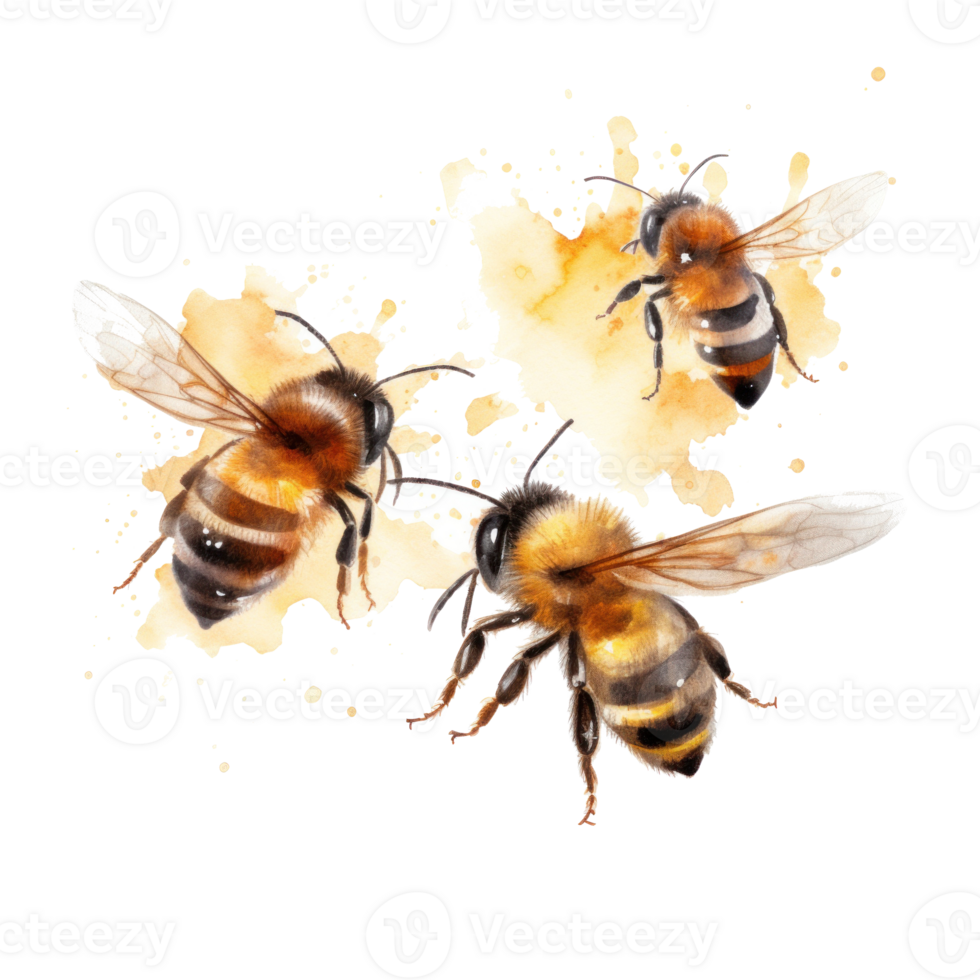 Honey bee isolated. Illustration AI Generative 24678182 PNG