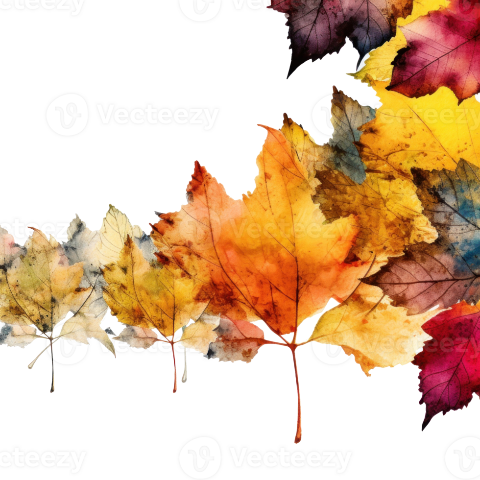 Autumn leaves frame. Illustration png