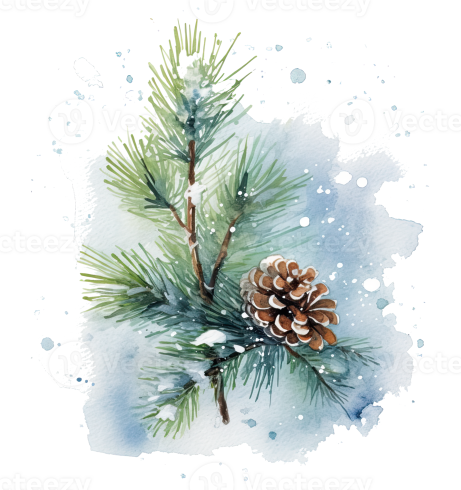 neigeux hiver aquarelle Noël pin branche illustration ai génératif png