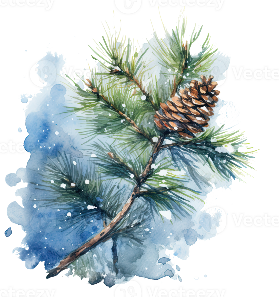 Snowy winter watercolor christmas pine branch Illustration png