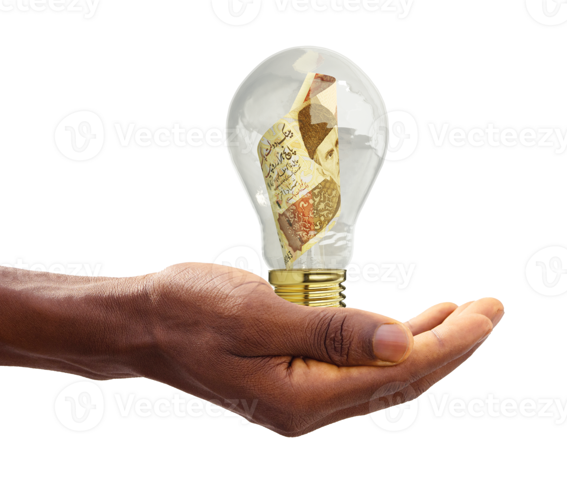 Black Hand holding 3d rendered Pakistani Rupee note inside transparent light bulb, creative thinking. Making money by solving problem. Having idea concept png