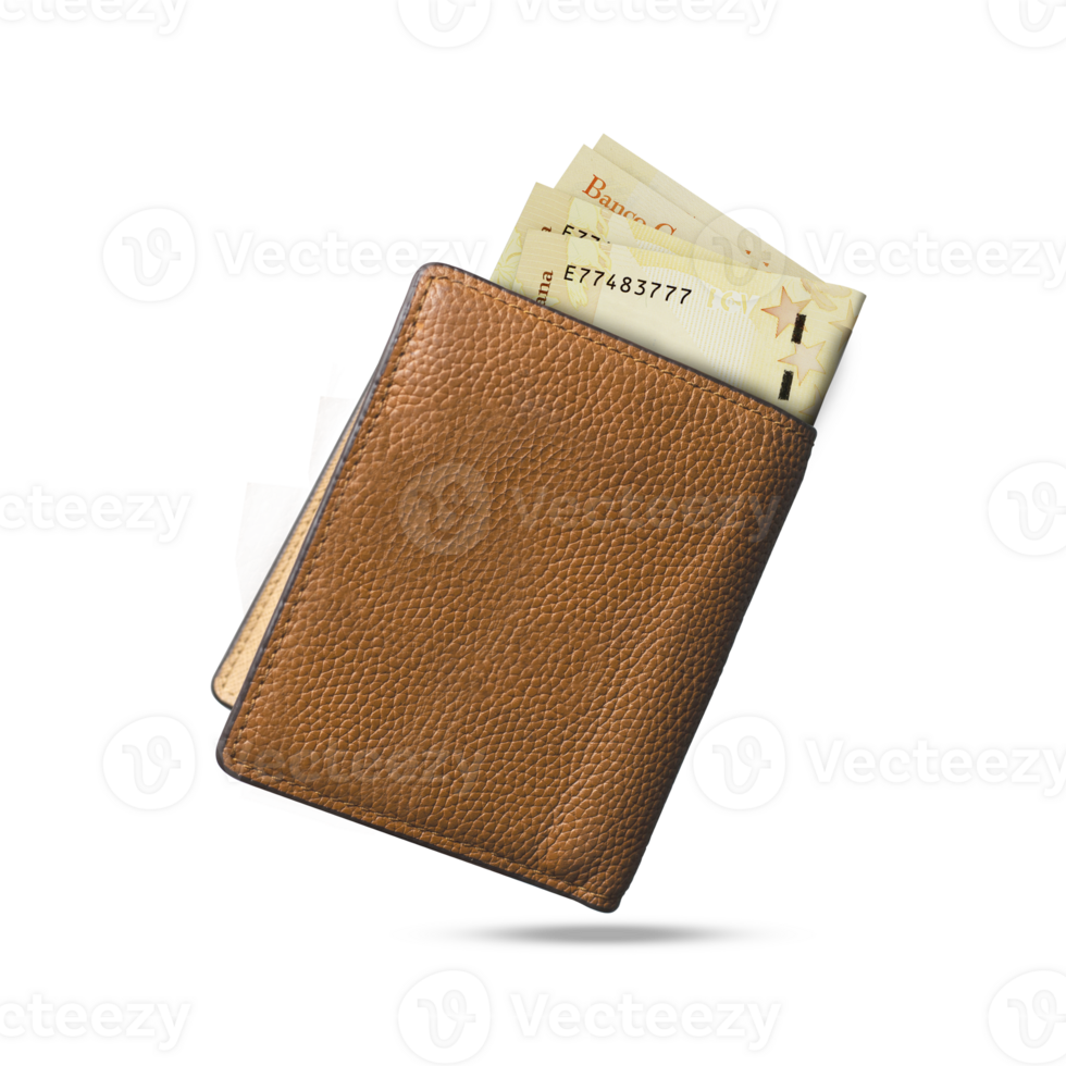3D rendering of Pakistani Rupee notes popping out of a brown leather mens wallet. Pakistani Rupees in wallet png