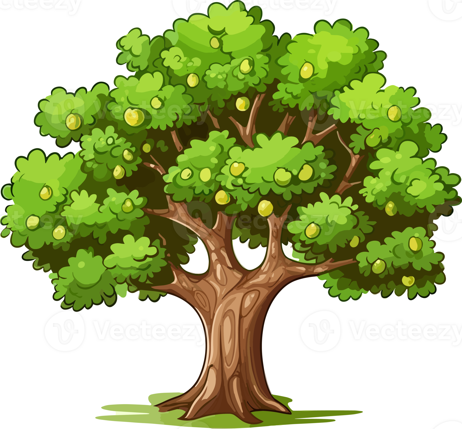 Walnut tree ,Lonely big walnut tree 24678935 PNG