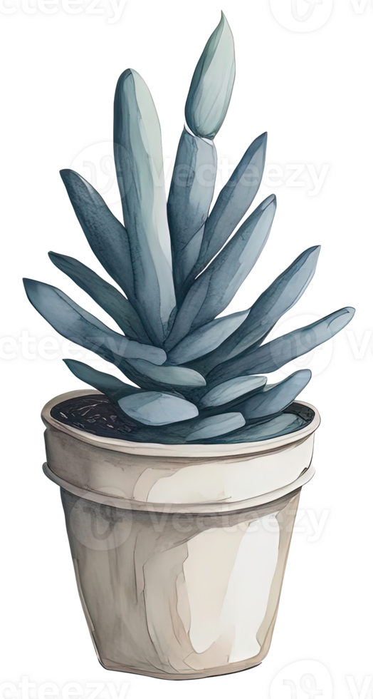 Watercolor House plant. png
