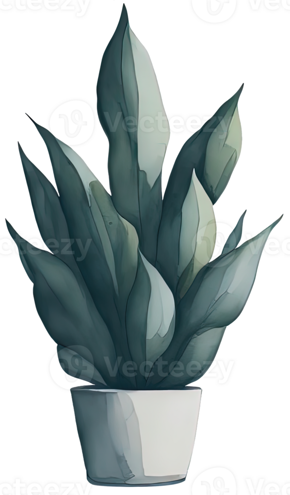 Watercolor House plant. png