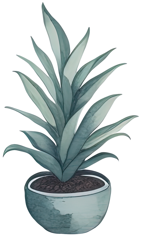 Watercolor House plant. png