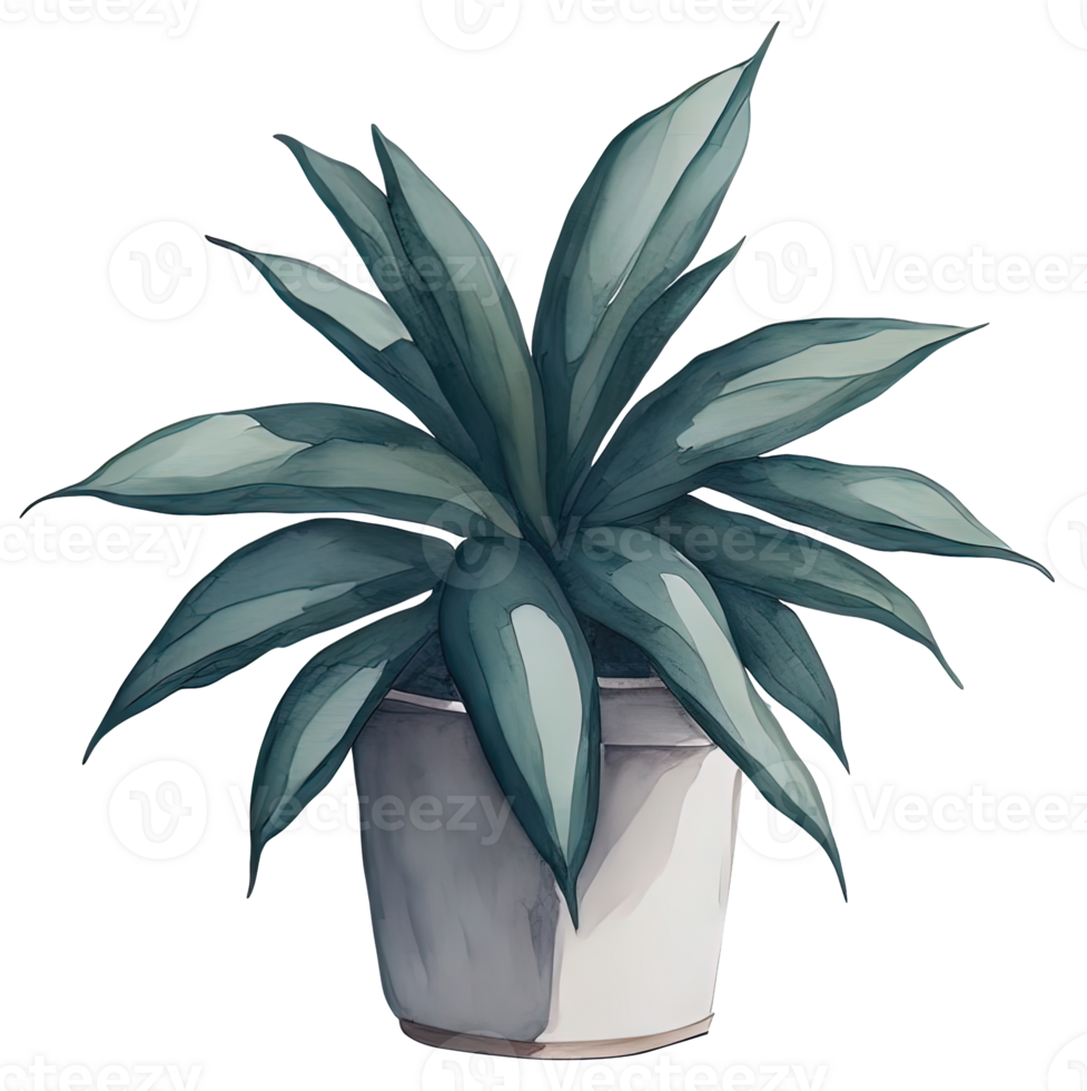 Watercolor House plant. png