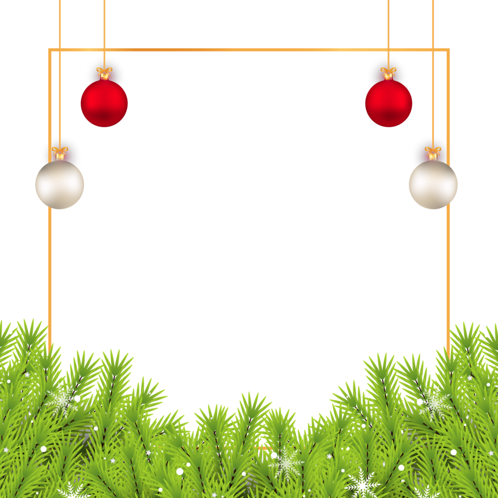 Navidad social medios de comunicación bandera png con pino hojas. bandera con hojas, blanco pelotas, rojo pelotas. Navidad tarjeta en un transparente antecedentes. Navidad guirnalda con decorativo elementos y copos de nieve.