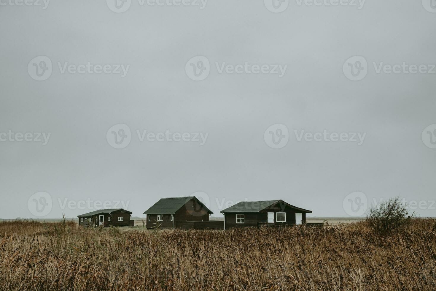 Three dark brown wooden weekend houses for fishermen in empty autumn countryside during the rainy cloudy gloomy day in Denmark photo