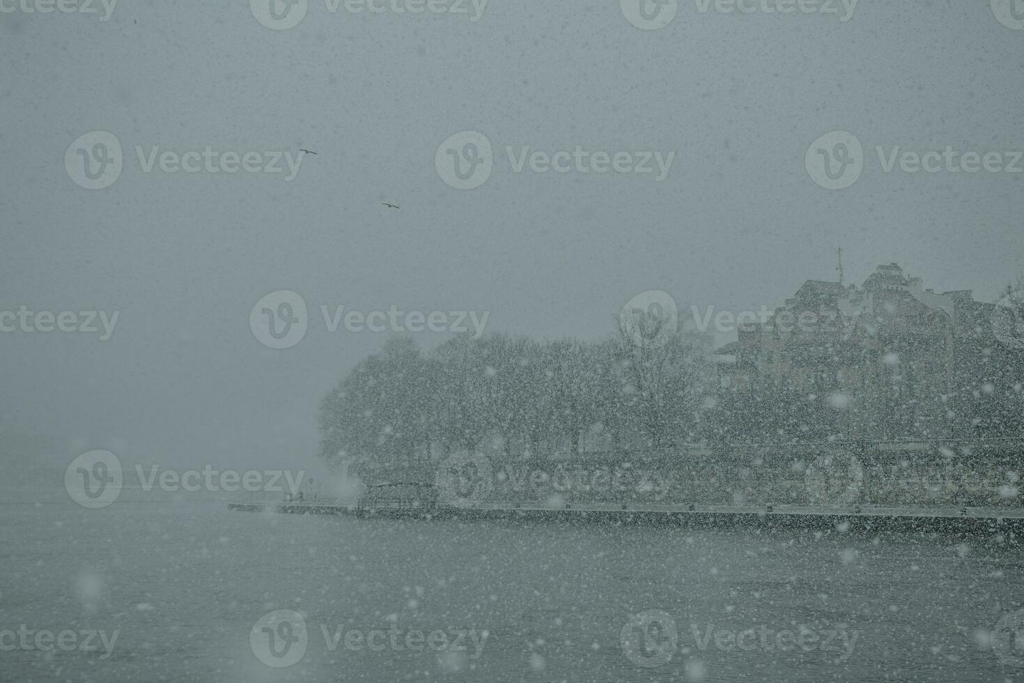 The river bank of the Vistula river in the Poland city of Krakow with buildings and trees in the background during the blizzard with big snowflakes at the morning in the December photo