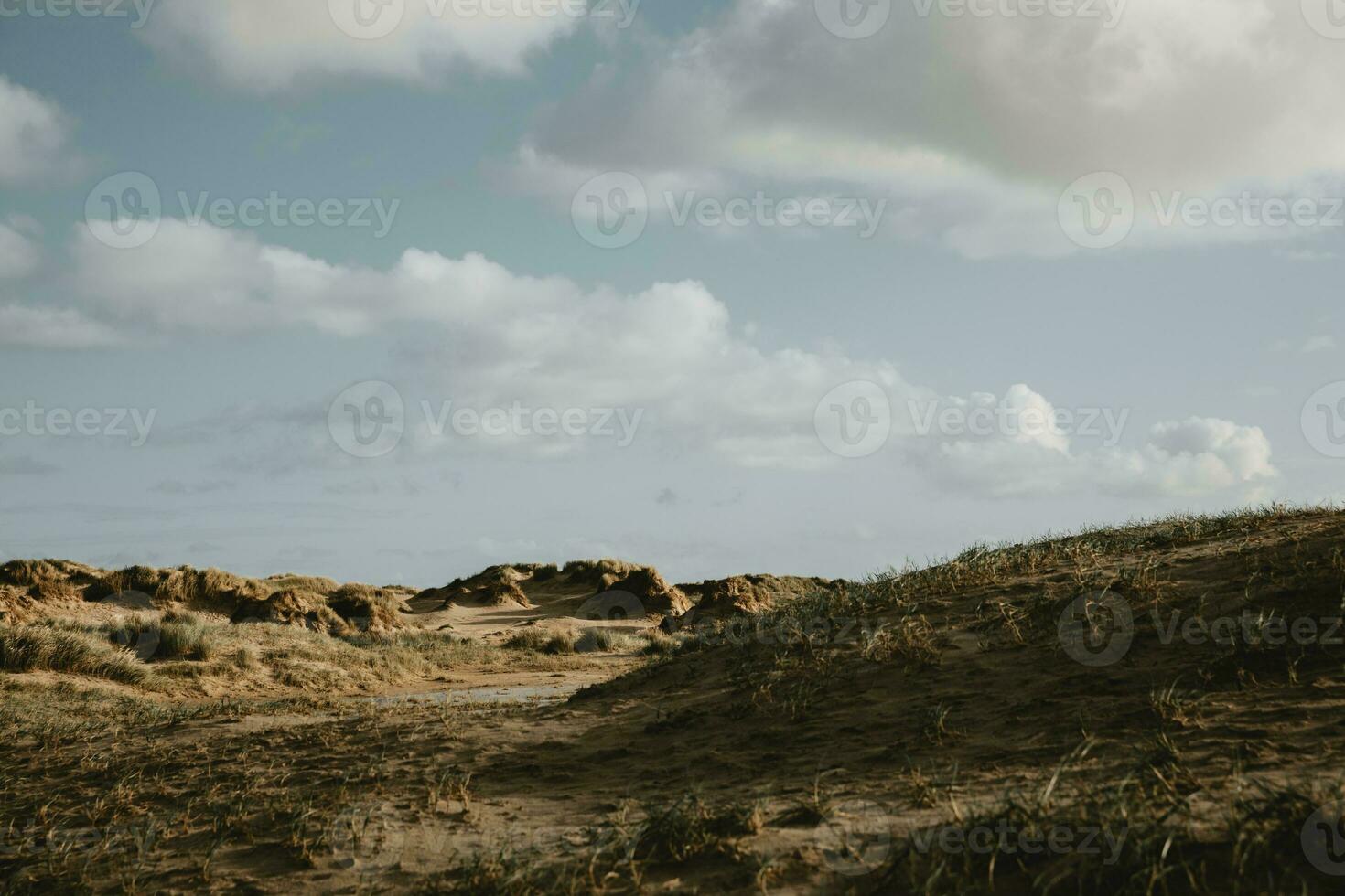 Typical sand dunes on the coastline of North sea on the Denmark Romo island with the afternoon sun light during the autumn day with clouds and blue sky in background photo