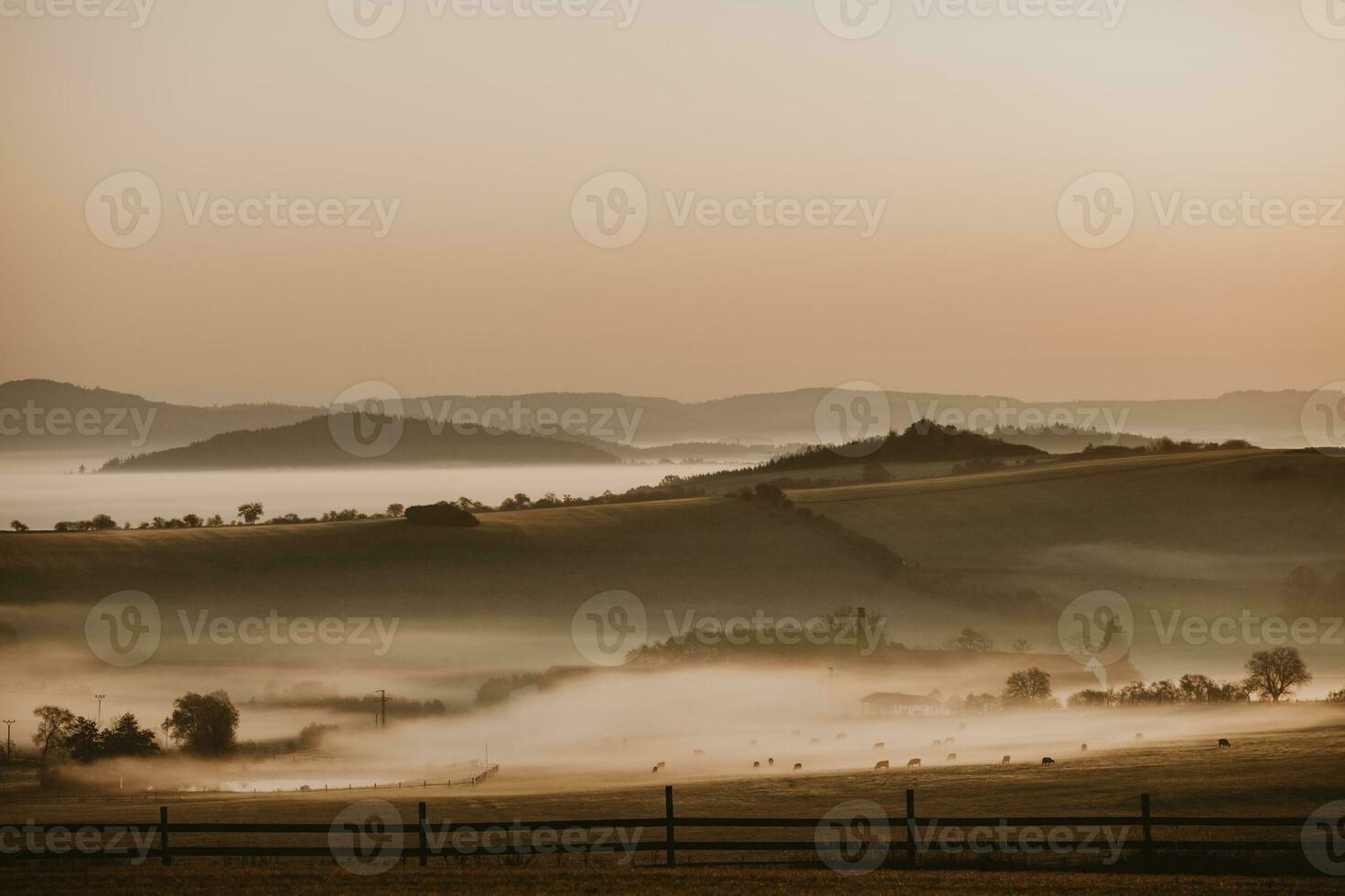 Misty autumn landscape with the herd of cows grazing on the pasture in the valley with the fence in foreground and with hills and the clear sky in the background photo