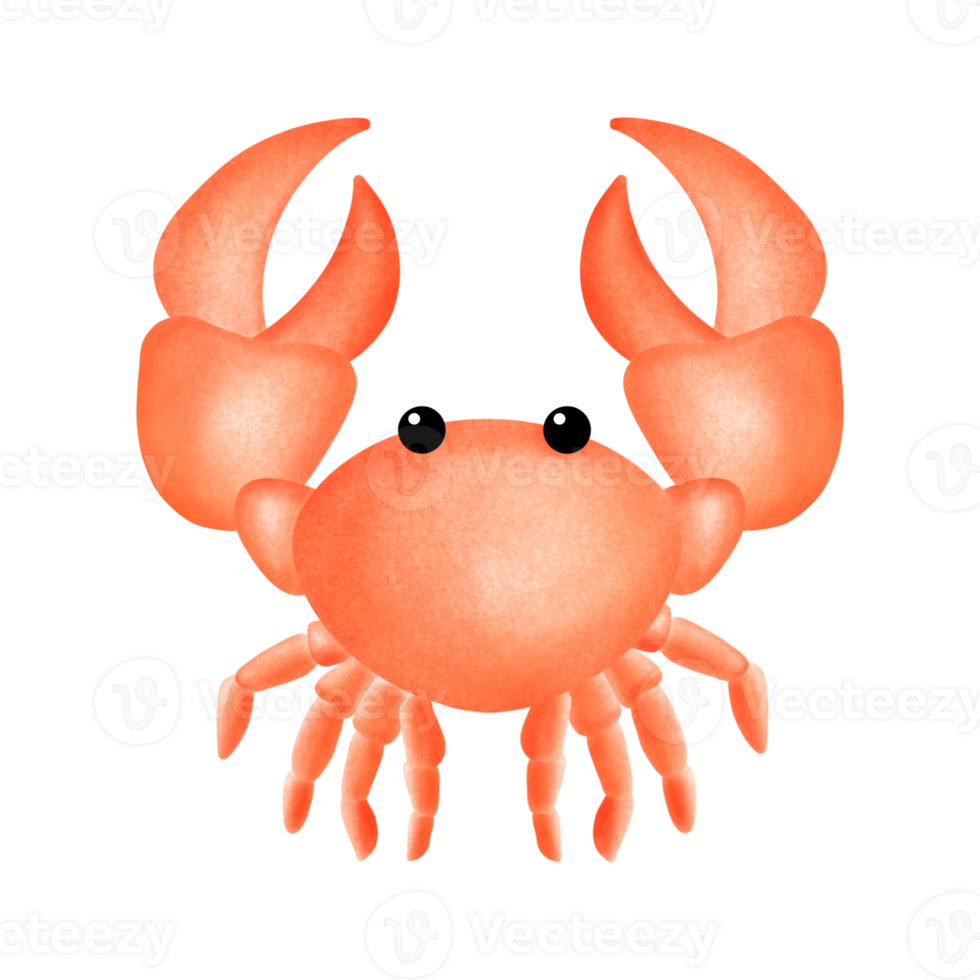 Crab with big claws, Red crab, Seafood. png