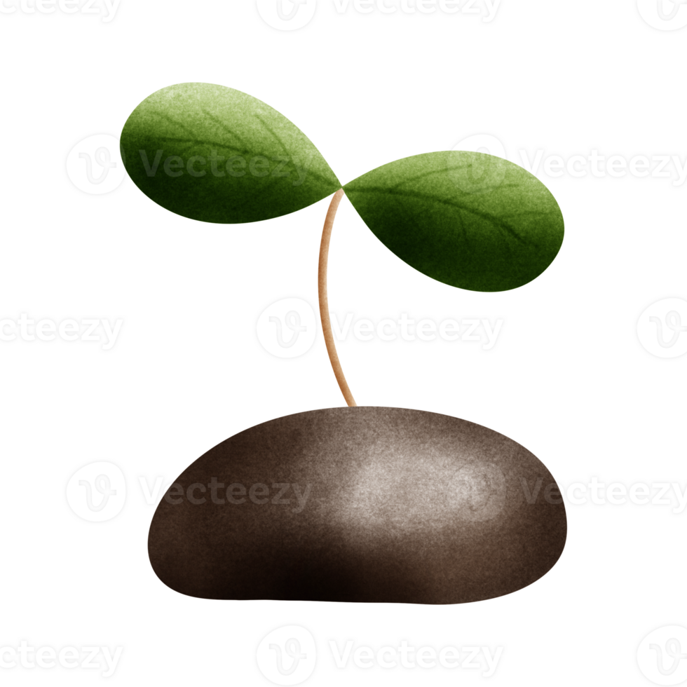 love earth day, environment concept png