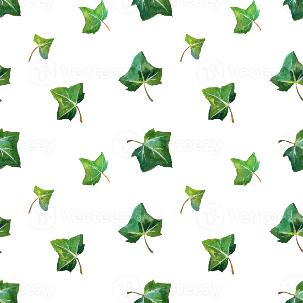 acquerello senza soluzione di continuità modello con verde ramo e le foglie edera png