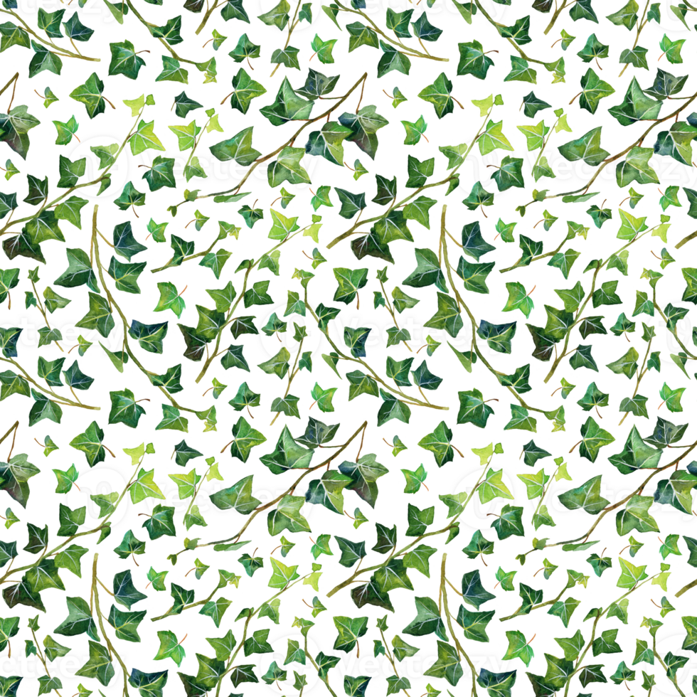 Watercolour seamless pattern with green branch and leaves ivy png