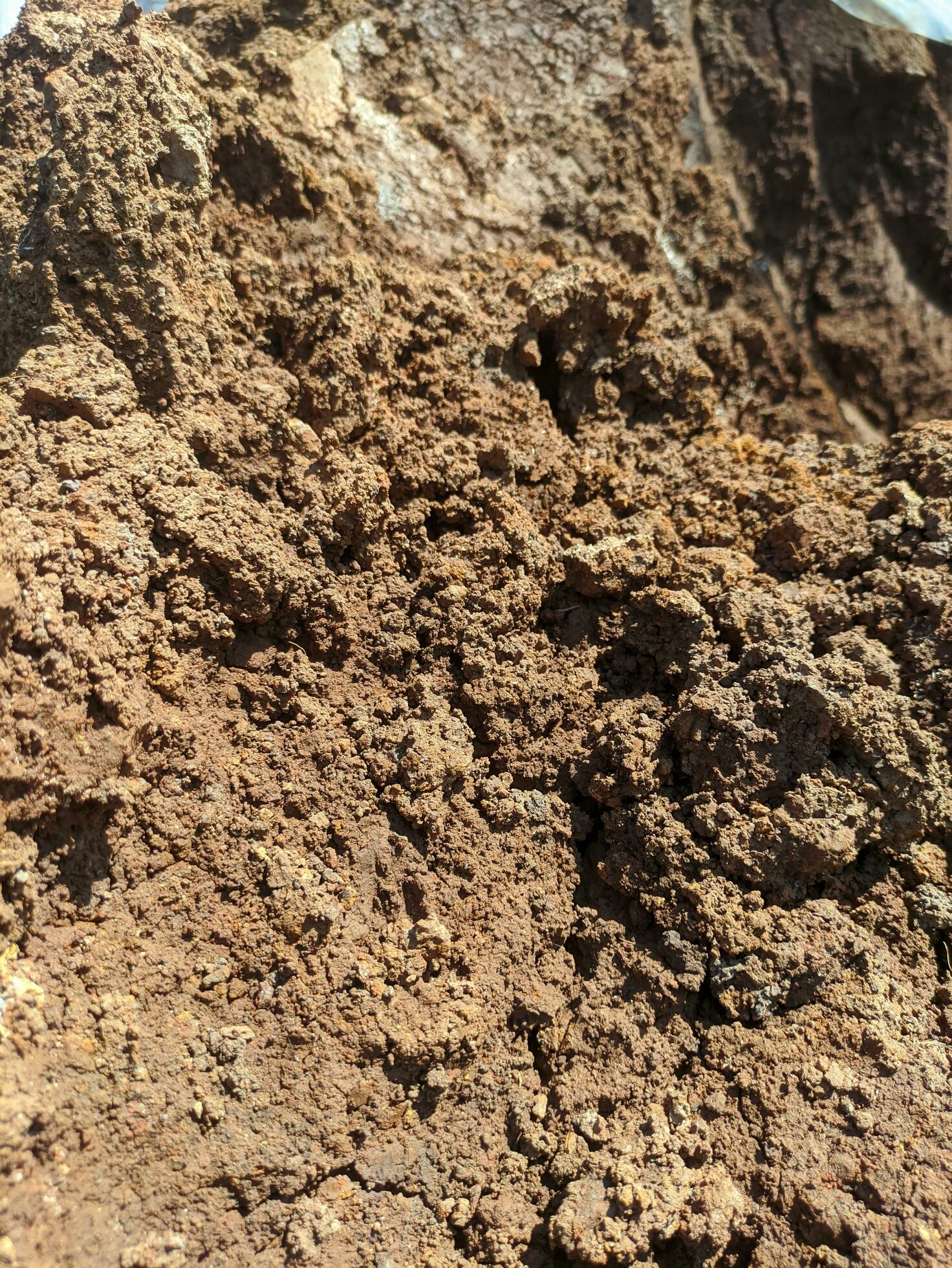 Fertile dry soil texture. Natural background of dry soil. Closeup of