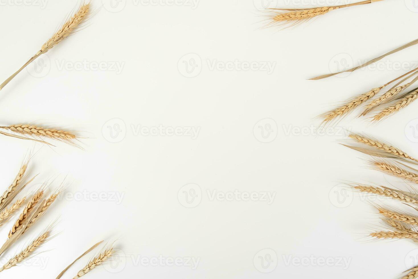 wheat on white table background top view photo