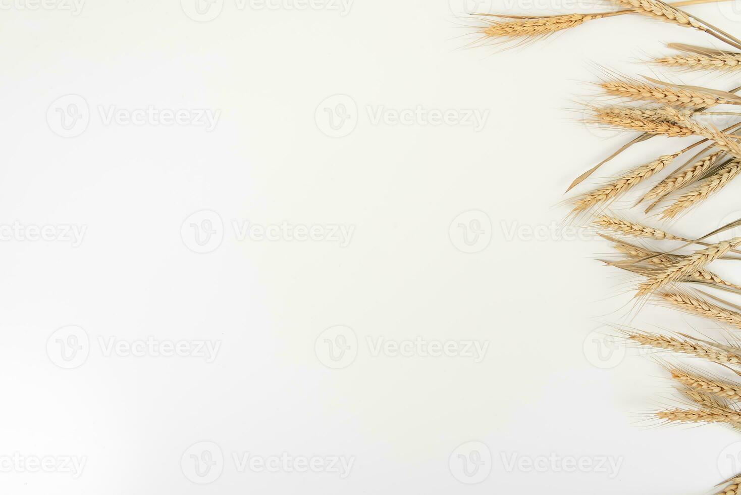 wheat on white table background top view photo