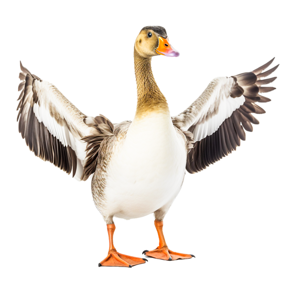 Gans png png ai generativ