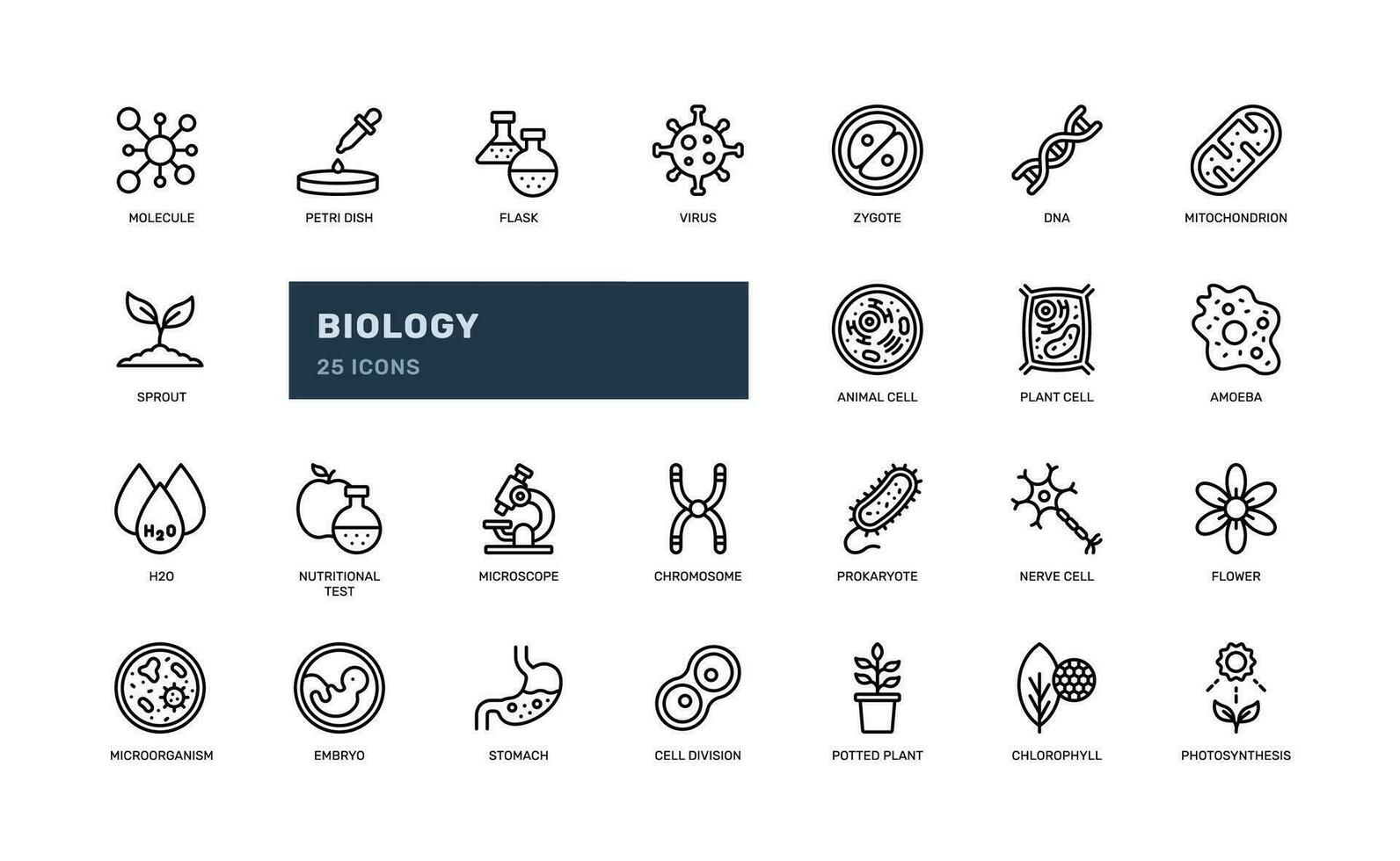 biology science laboratory education school learning detailed outline line icon set vector