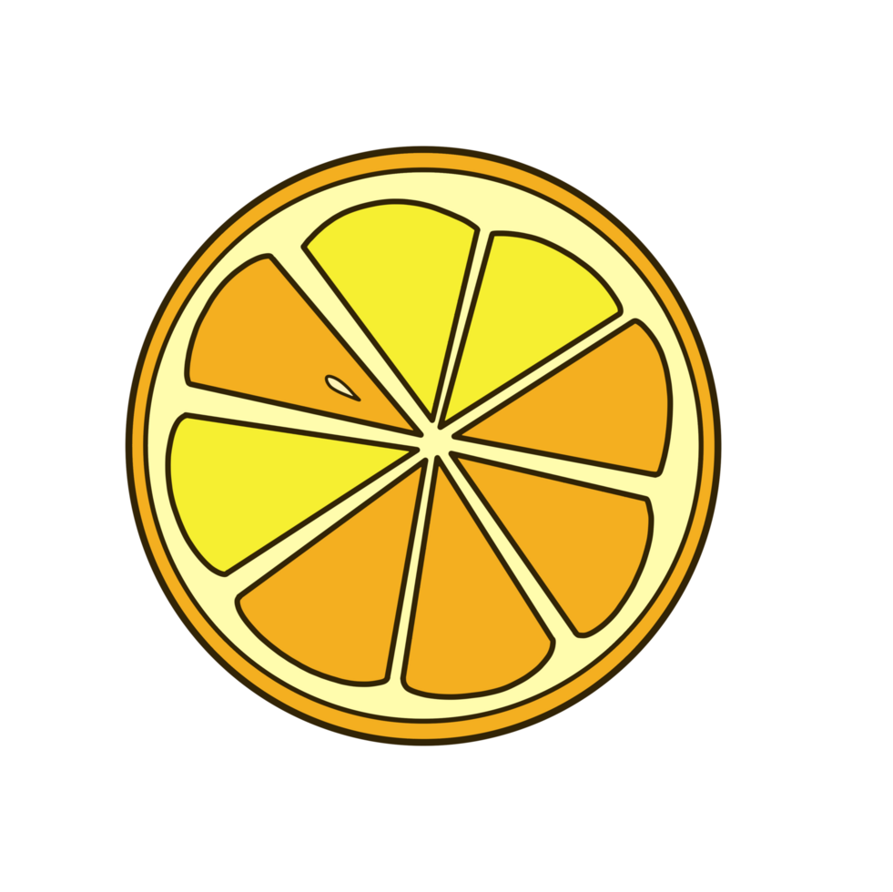 orange slice icon png