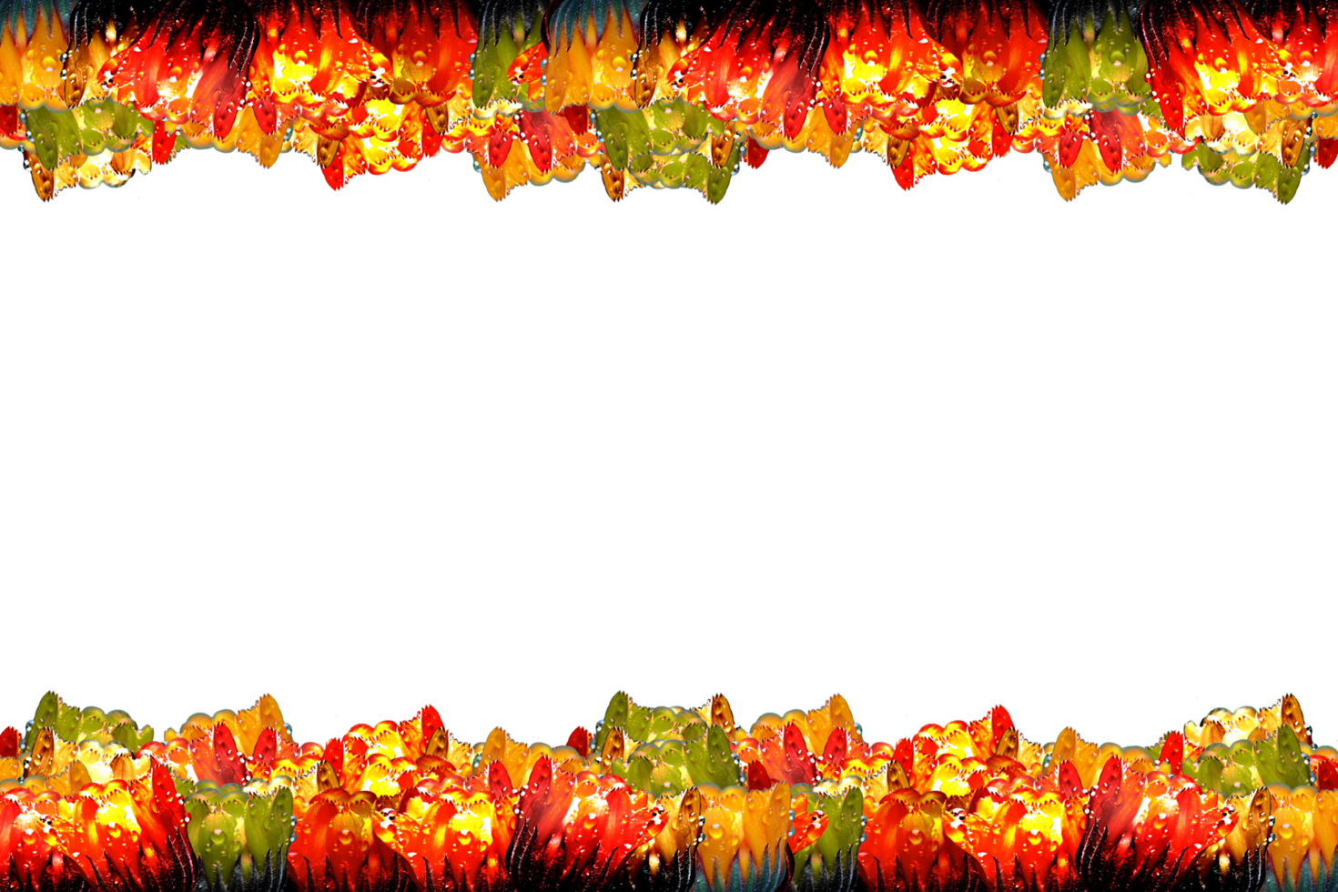 icon flower form border png