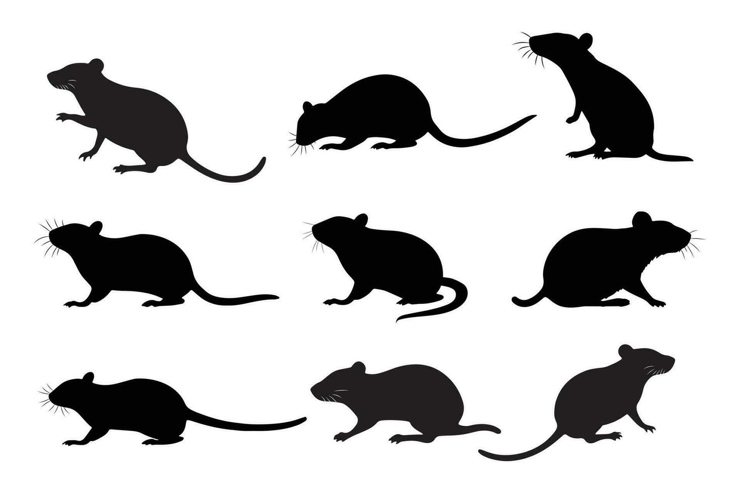 A set of Rat silhouette black color in different sitting and standing style, side pose and playing. vector