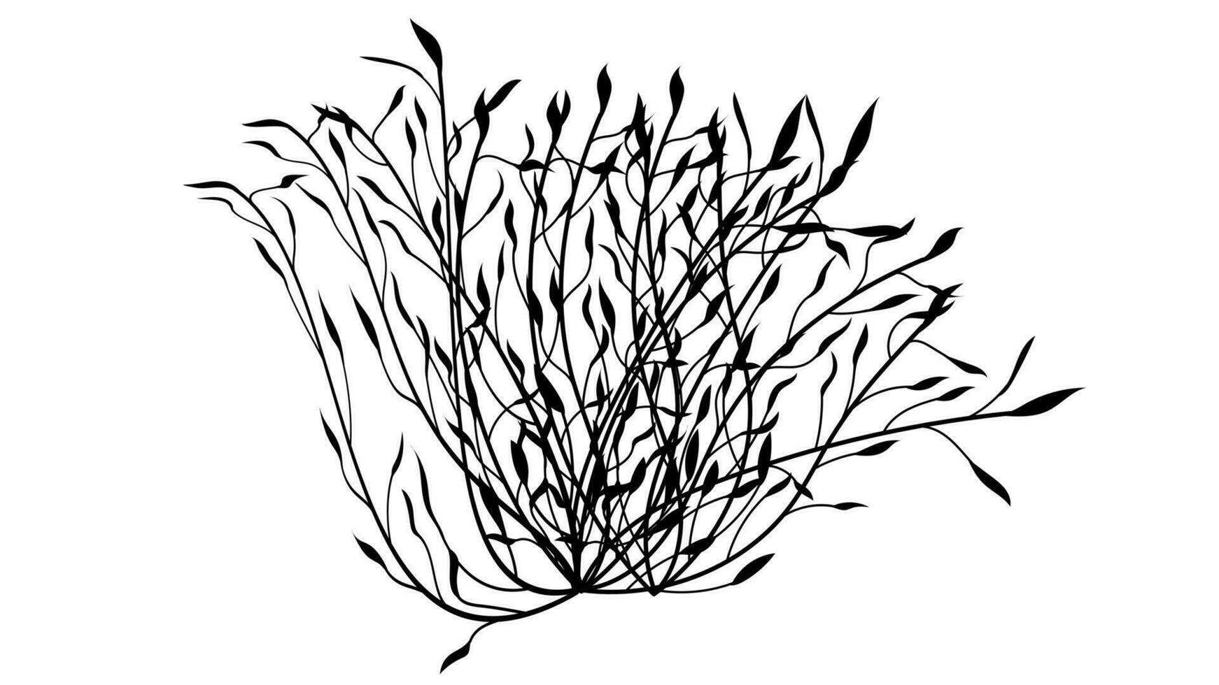 árbol ramas con hojas Shilouette usado para floral diseño recursos, invitación, negro y blanco antecedentes vector