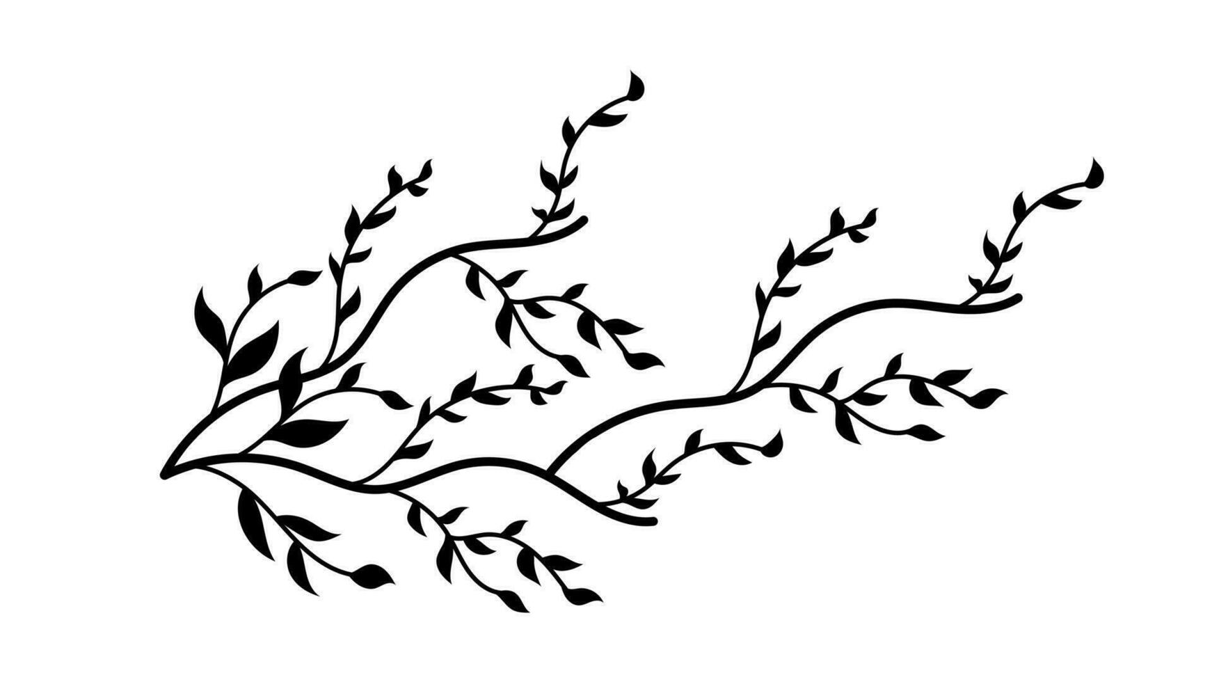 Tree branches with Leaves Shilouette used for floral design resources, invitation, black and white background vector