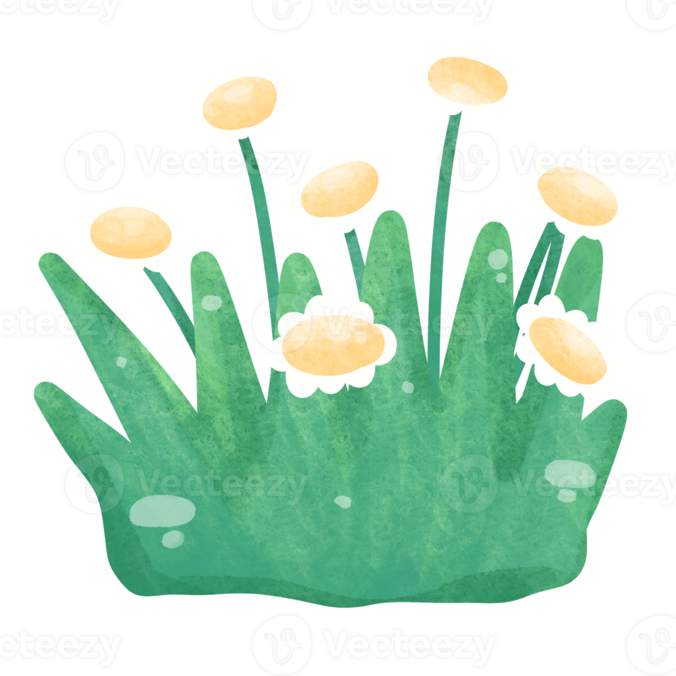 Flowers watercolor clipart png