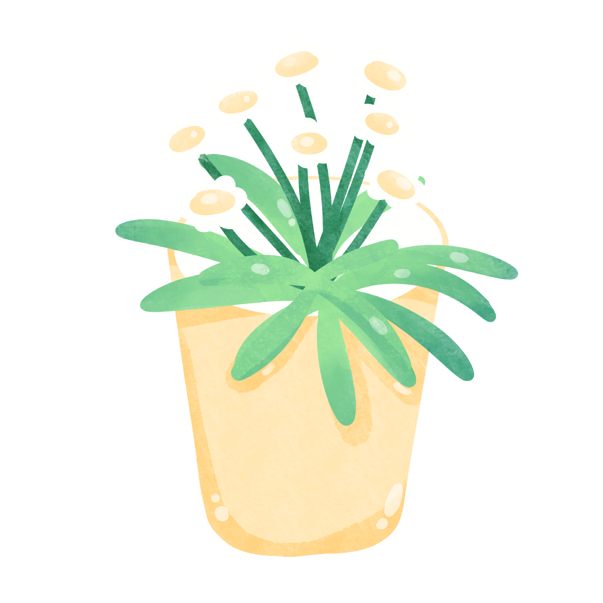 Flowers watercolor clipart 24682650 PNG