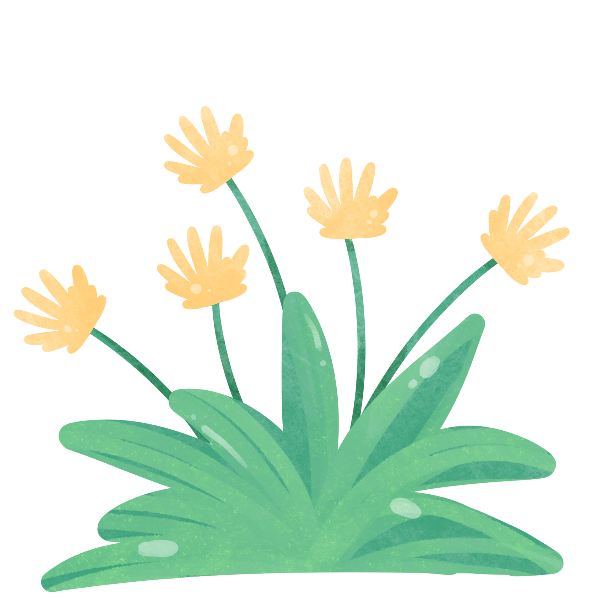 Flowers watercolor clipart 24682660 PNG