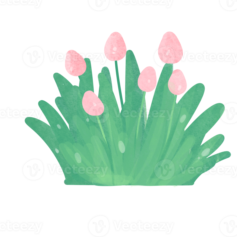 Flowers watercolor clipart 24682673 PNG
