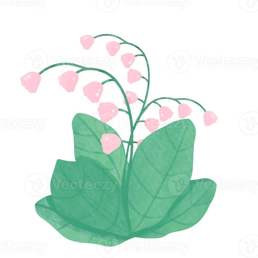 Flowers watercolor clipart 24682700 PNG