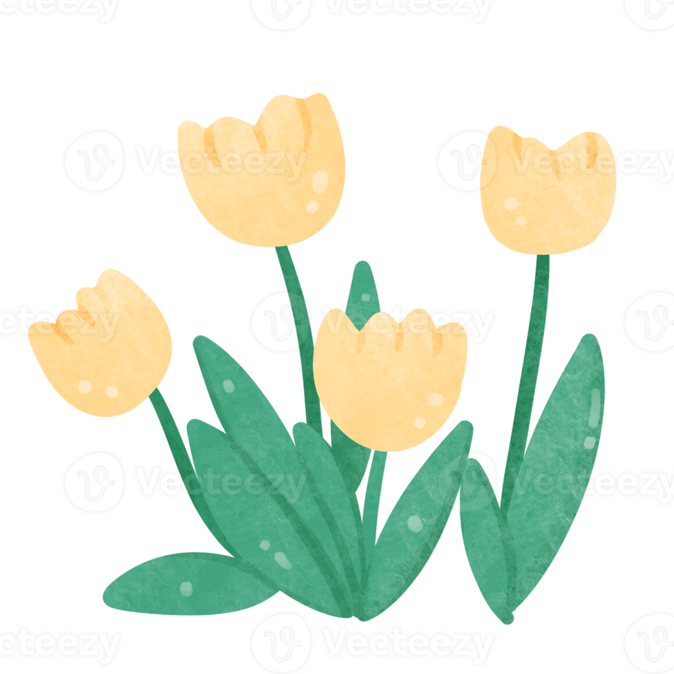 Flowers watercolor clipart png