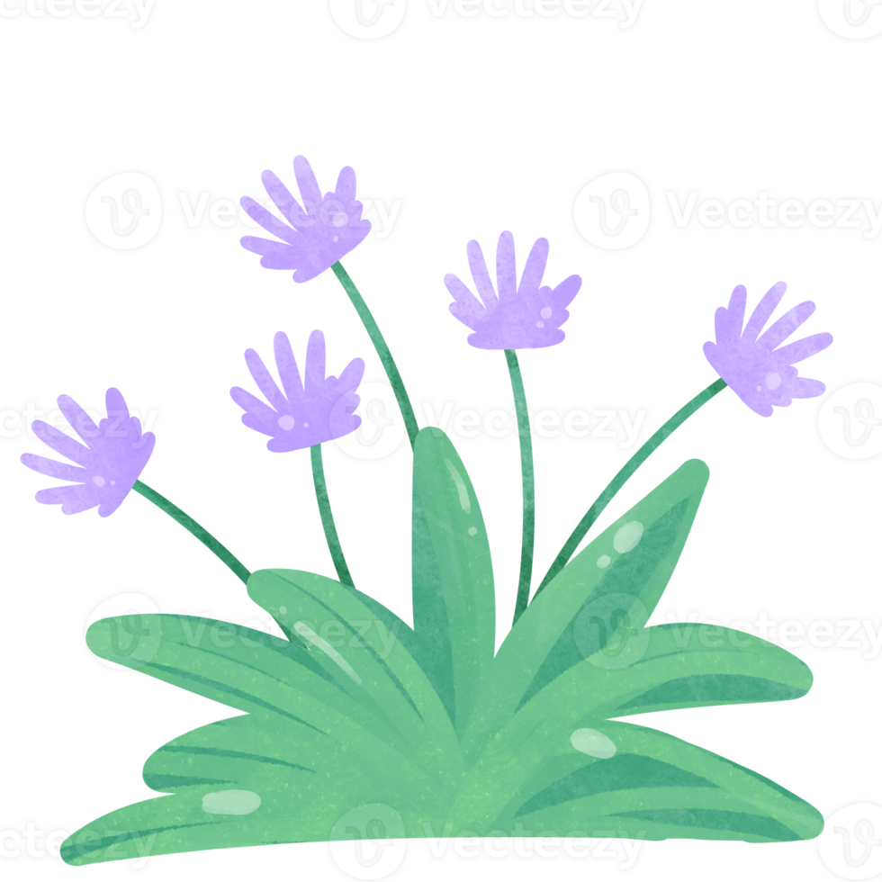 Flowers watercolor clipart png