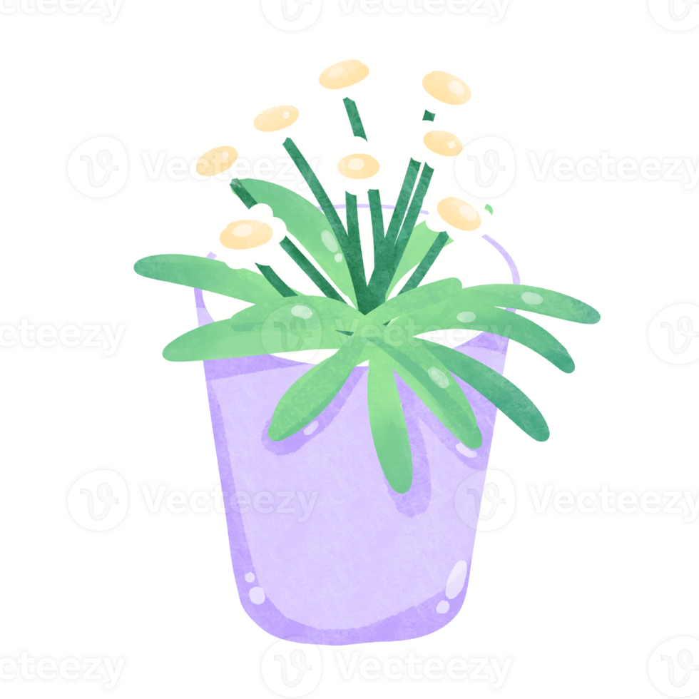 Flowers watercolor clipart png